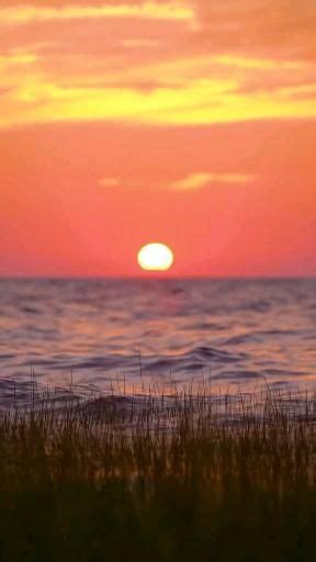 evening view artofit