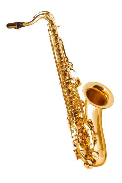 Saxophones for beginners – Artofit
