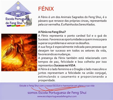 fenix escola portuguesa de feng shui