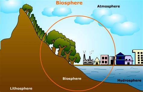 √ Pengertian Biosfer, Macam, Faktor, dan 2 Contohnya | Ilmu Geografi
