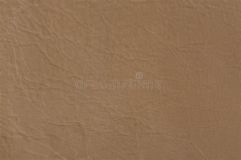blege leather texture close      background  art