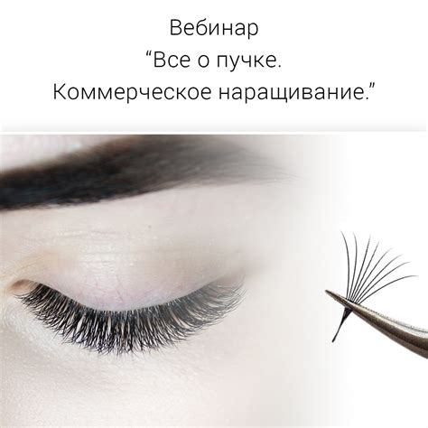 Платный вебинар все о пучке, коммерческое наращивание ресниц