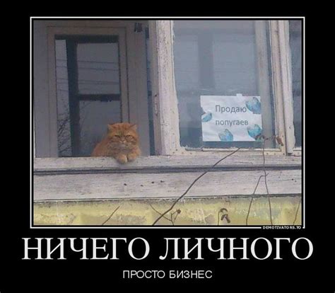 Похожее изображение | Смешно, Самые смешные картинки, Юмор
