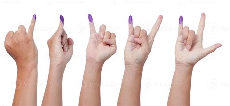 voting hands stock  images  backgrounds