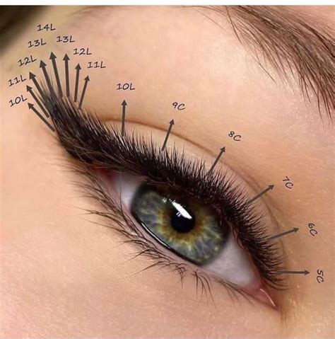 Пин от пользователя Neeiby goncalves на доске LASHES | Ресницы советы ...