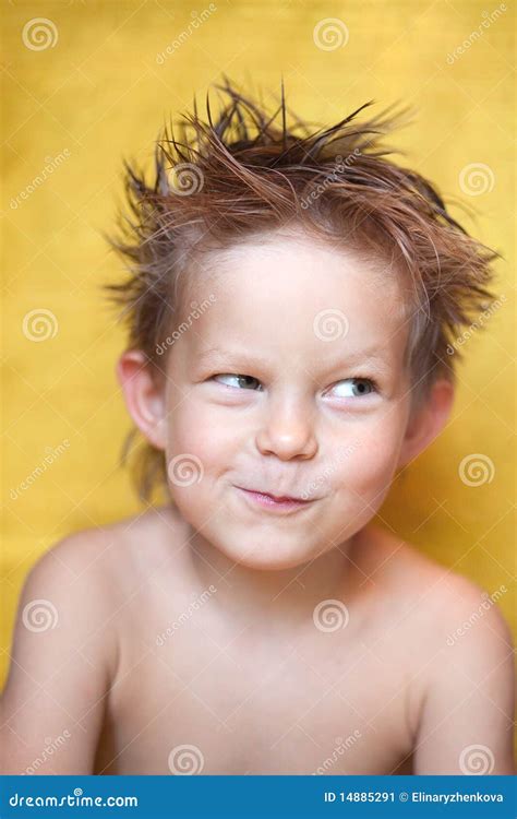 Funny shaggy-haired boy stock image. Image of grin, shaggy - 14885291