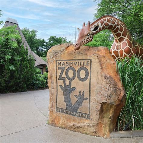 stream nashville zoo audio   nashville zoo listen
