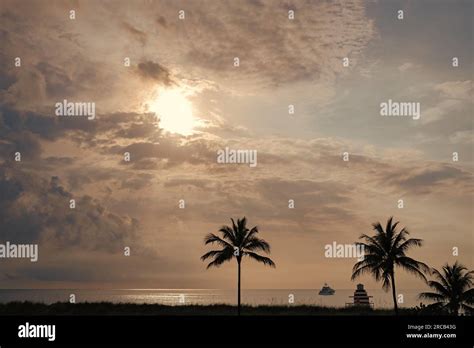 summer sunset with palm trees in miami Stock Photo - Alamy