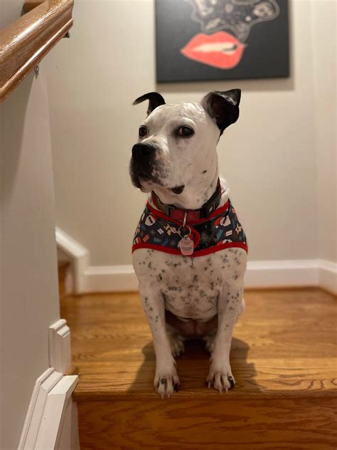 The secret farris funeral abingdon va history found in old records 30