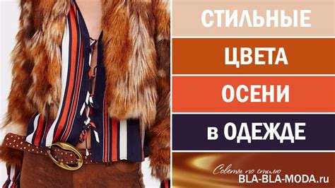Стильные цвета осени в одежде. Модные тенденции - 2024