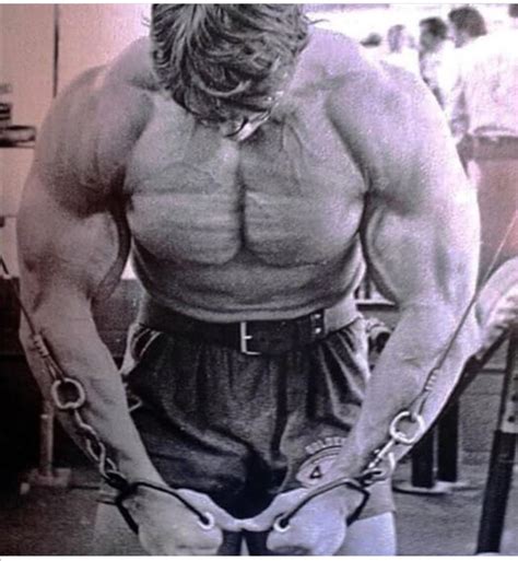 The best chest ever. : r/bodybuilding