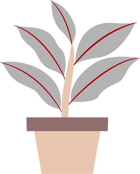 illustration of a plant in a pot. plants with colored leaves. free