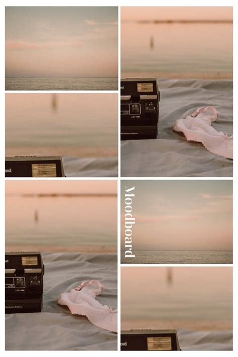 plantillas de collages de fotos aesthetic gratis canva