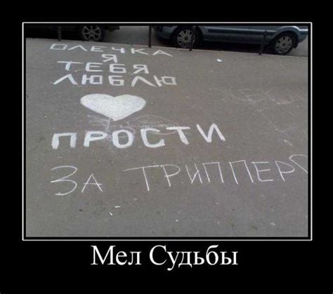 Новые демотиваторы