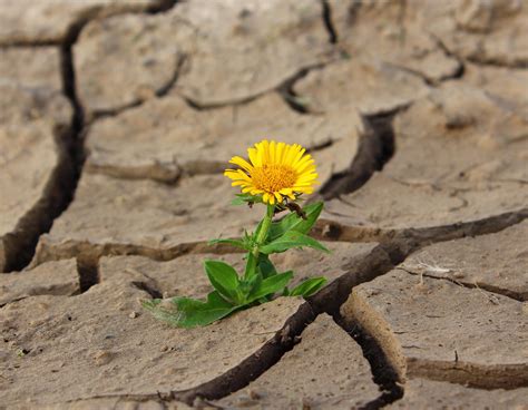 How to Become More Resilient