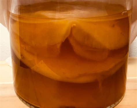 Kombucha Scoby, Food & Drinks, Beverages on Carousell