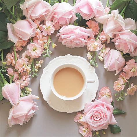 Блог Колибри: Pink morning