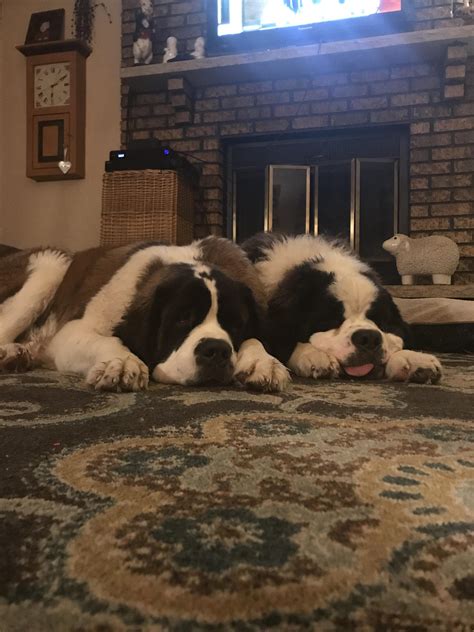 New television dramas will soon explore george and martha 21