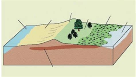 ch  beaches shoreline processes  coastal ocean diagram quizlet