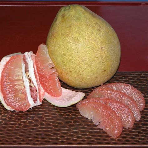 pomelo color  tagalog  christopher carr boyd blog