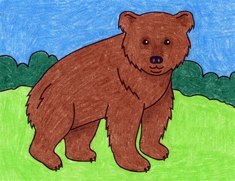 Easy Real Bear Drawing