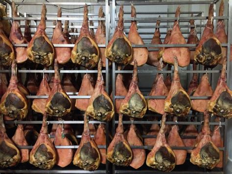 Cured Meat Definition at Amy Beasley blog