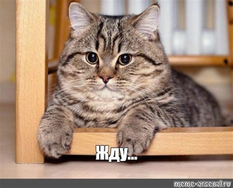 Мем: "Жду..." - Все шаблоны - Meme-arsenal.com