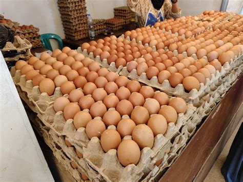 Holy Smokes! Egg Prices | Page 18 | IFish Fishing Forum