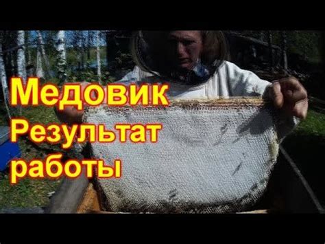 Медовик, результат по мёду - YouTube