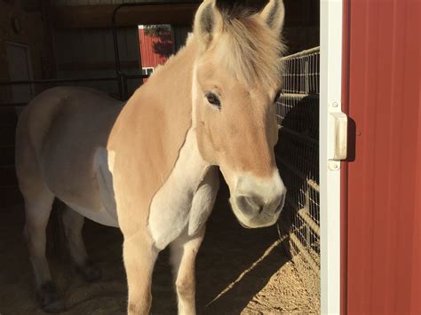 An interview explains the inspiration behind the go comics luann 6