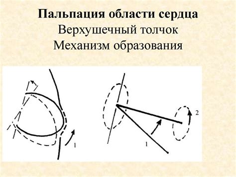 Физические методы исследования больных при заболеваниях сердца и ...