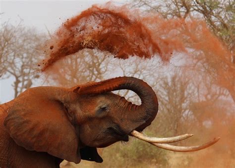 writing postgresql extensions  fun  language