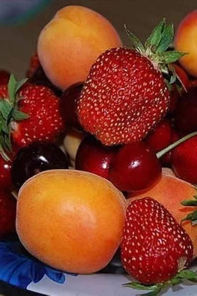 #Теплый_Чай_И_Вдохновение | Теплый Чай и Вдохновение | ВКонтакте
