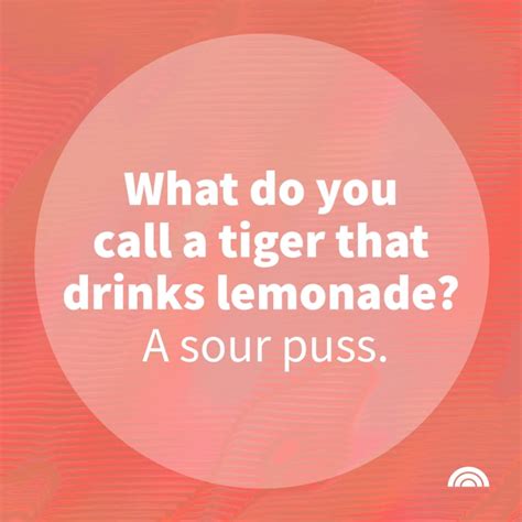 question  answer jokes  kids   lunch box riddles