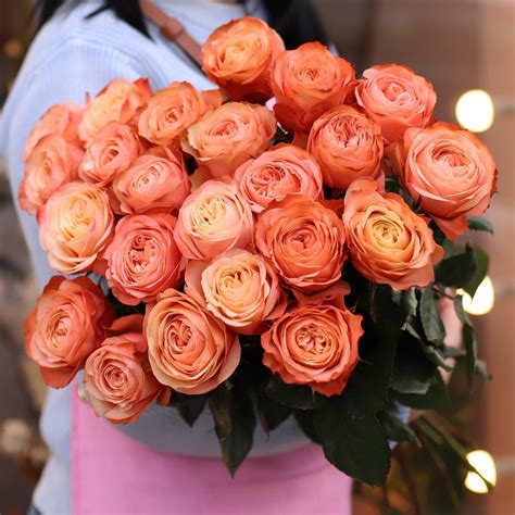 Kahala Roses - Wholesale Farm Direct Flowers – Flower Explosion