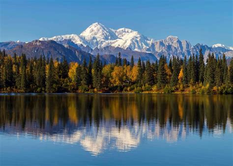 Visit Denali National Park on a trip to Alaska | Audley Travel UK