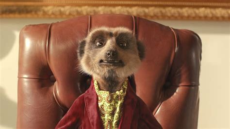 Meerkat Celebrities Aleksandr And Sergei Make Their Way Down Under - B&T