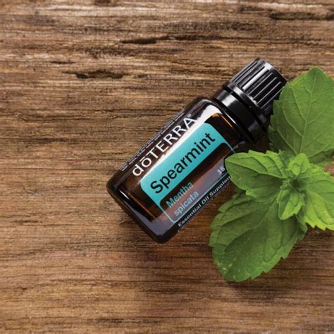 Эфирные масла Doterra - Лето стремится к завершающей фазе, но клещи про ...