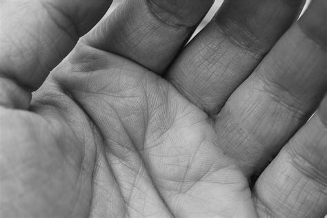 firsthand insights hand analysis life purpose