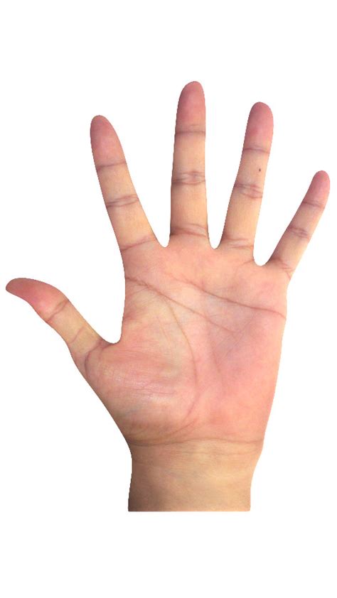 ArtStation - The Hand