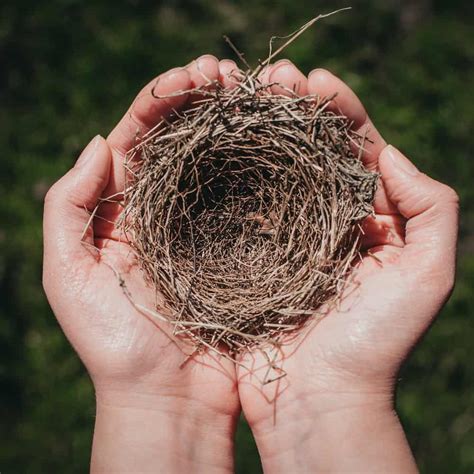 How to Overcome Empty Nest Syndrome | Deep Connections