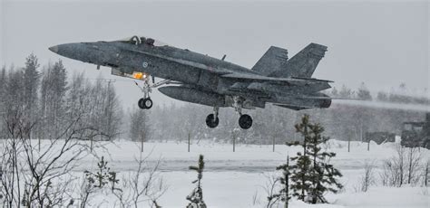 Finnish Hornets Demonstrate Wintertime Dispersed Operations