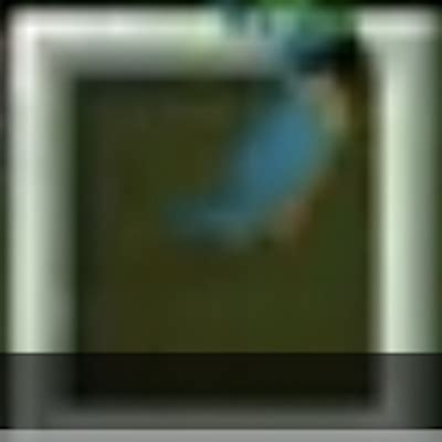 Polly in my Pocket - Minecraft Mods - CurseForge
