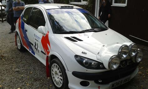 Peugeot 206 Gti 180 3