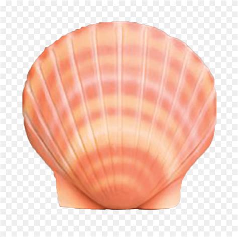 Снаряды, Разное, Пули, Пуля, Снаряд, Оружие, Оружие - Снаряд Png ...