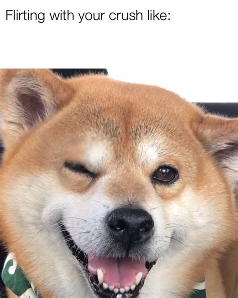 Dog Meme Face Shiba - diagram svg img gg