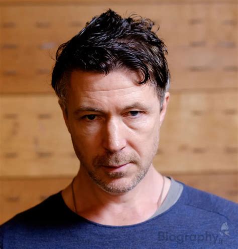 aidan gillen biography facts lifestyle biography