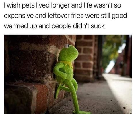 Kermit the Frog memes — MyFitnessPal.com