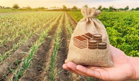 Хүнс үйлдвэрлэгчдэд 4.7 тэрбум төгрөгийн зээл олгоно
