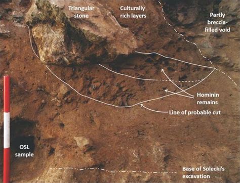 New Evidence Ends the Neanderthal Burial Debate | Ancient Origins